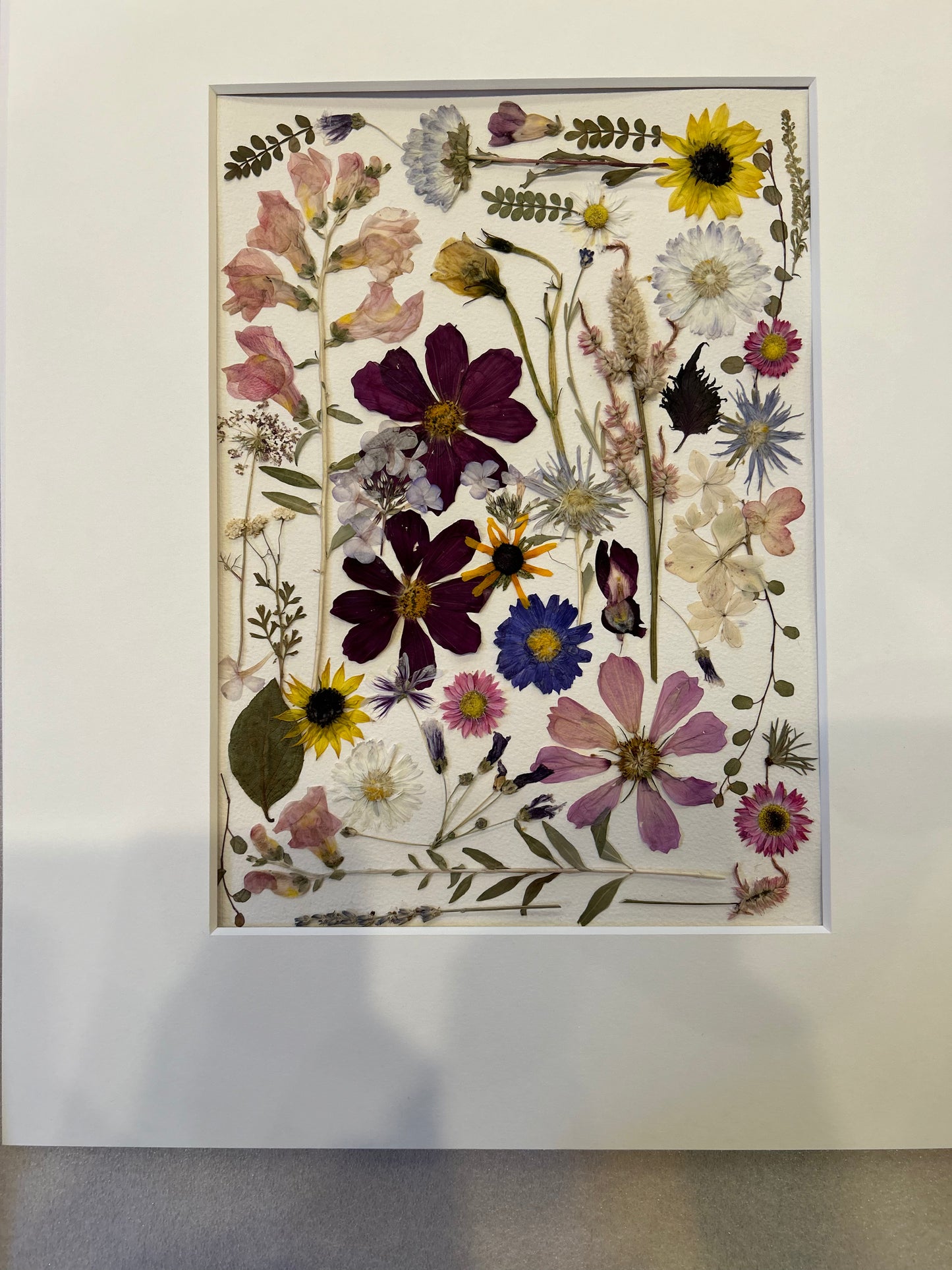 Sofia’s Daydream - Original Framed Botanical