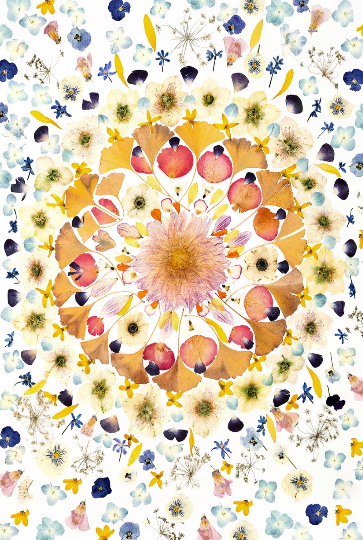 Give Me Love Fine Art Print