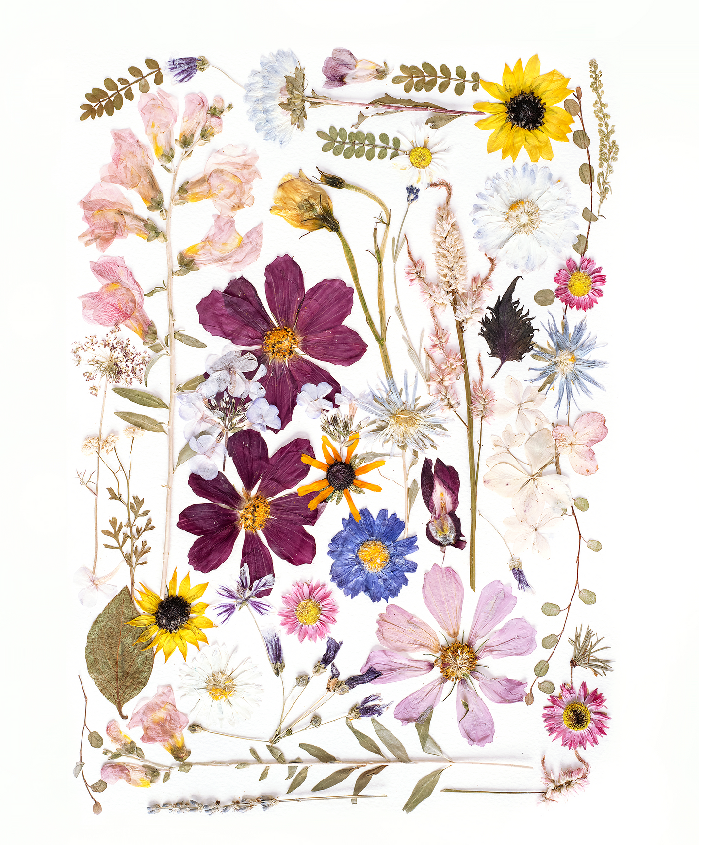 Pressed flower tea towel featuring botanical artwork created using flowers from the artists garden.