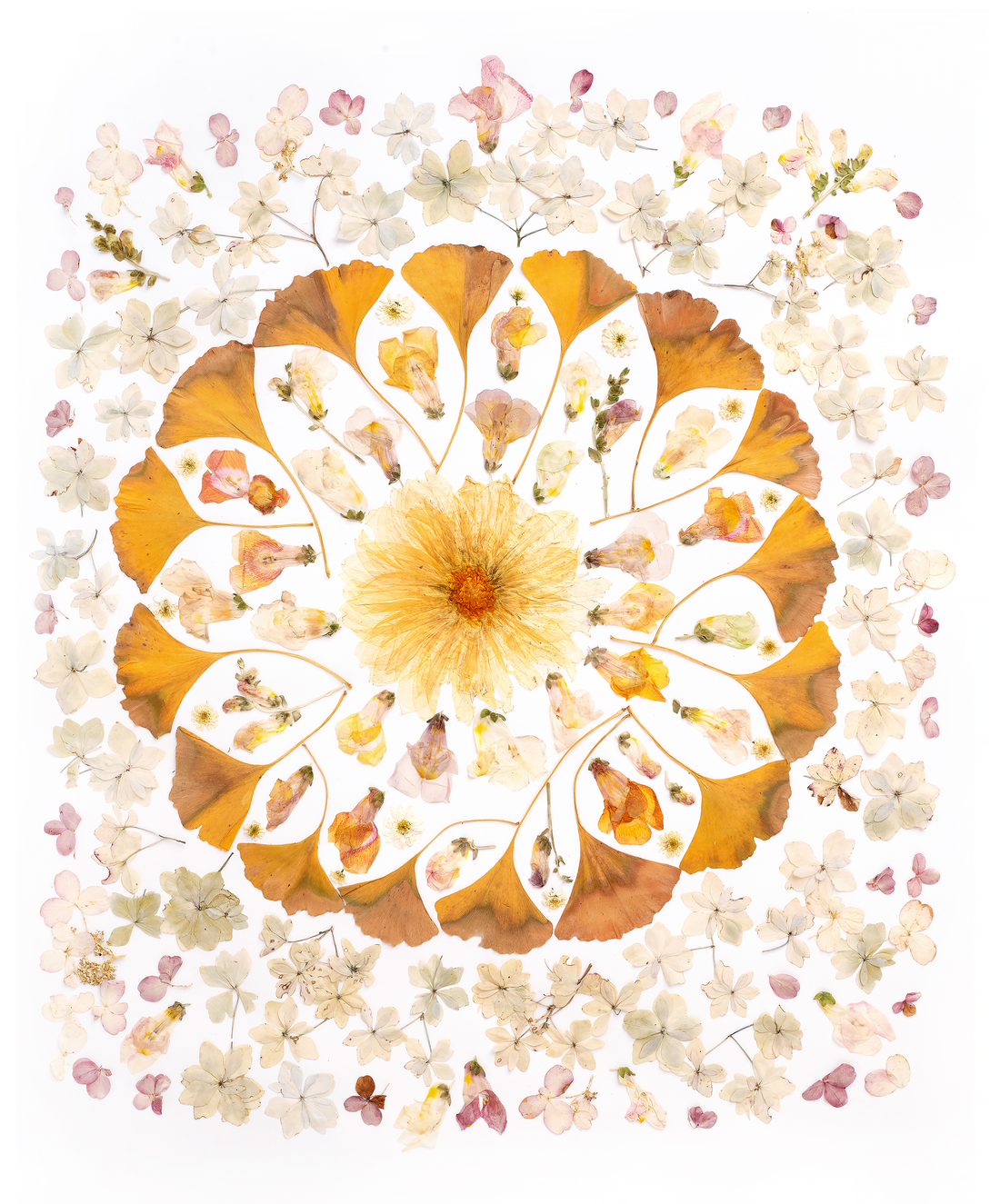 About the Mandala's