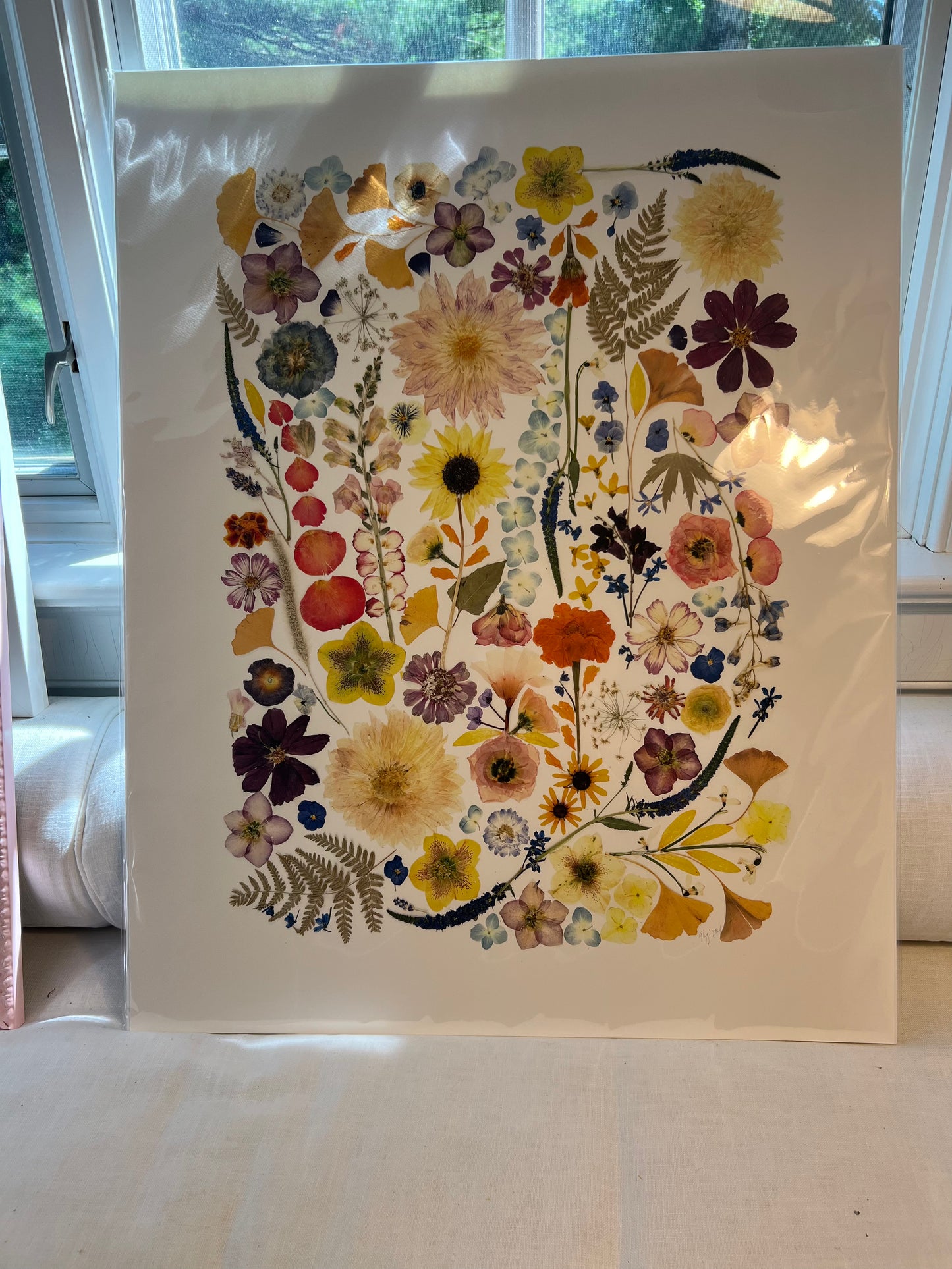 Garden Series Botanical Notecards Set of Six