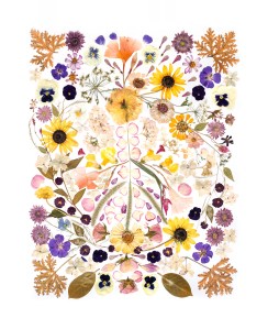 Peace Series Botanical Notecards Set of Three