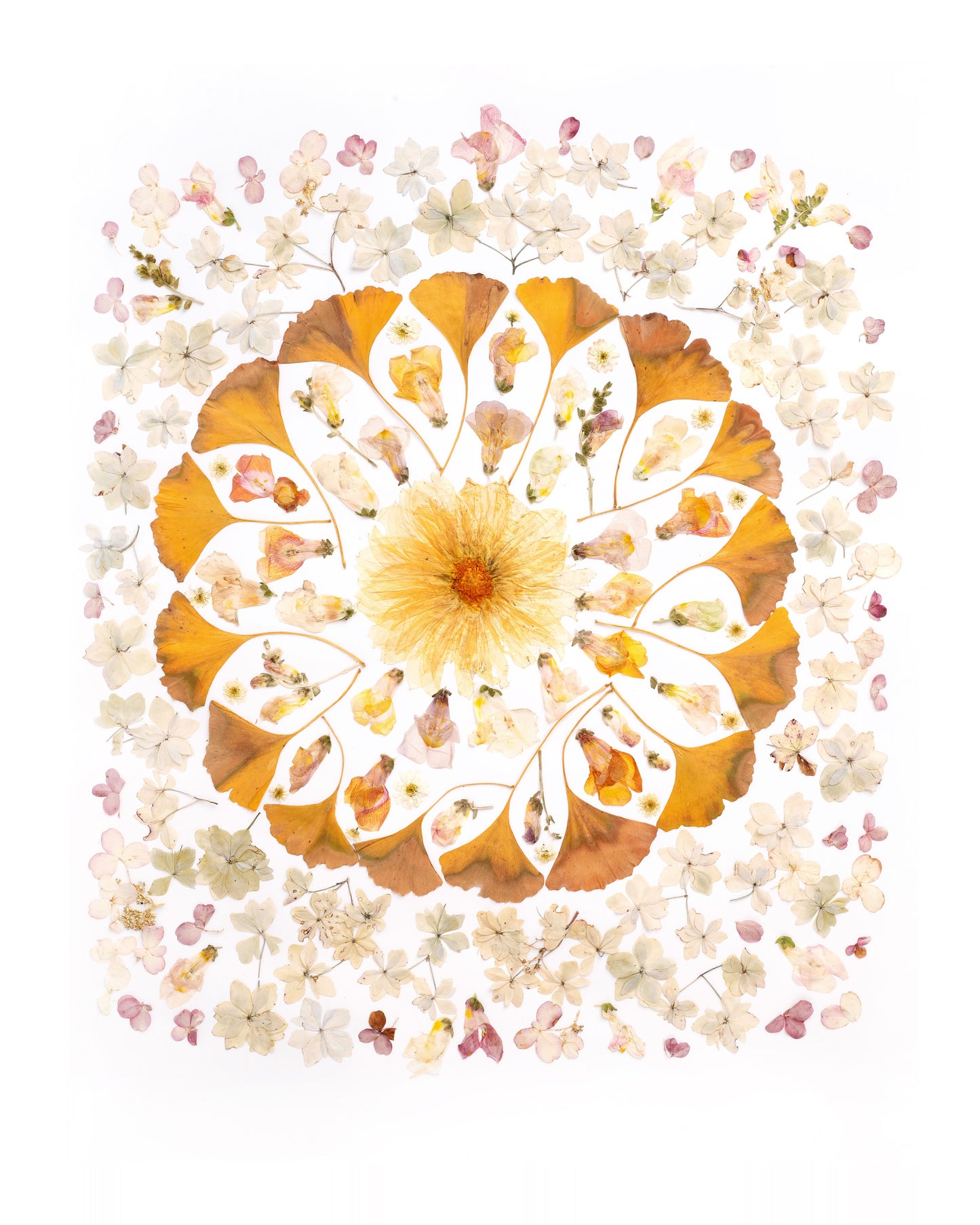 Peace Series Botanical Notecards Set of Three