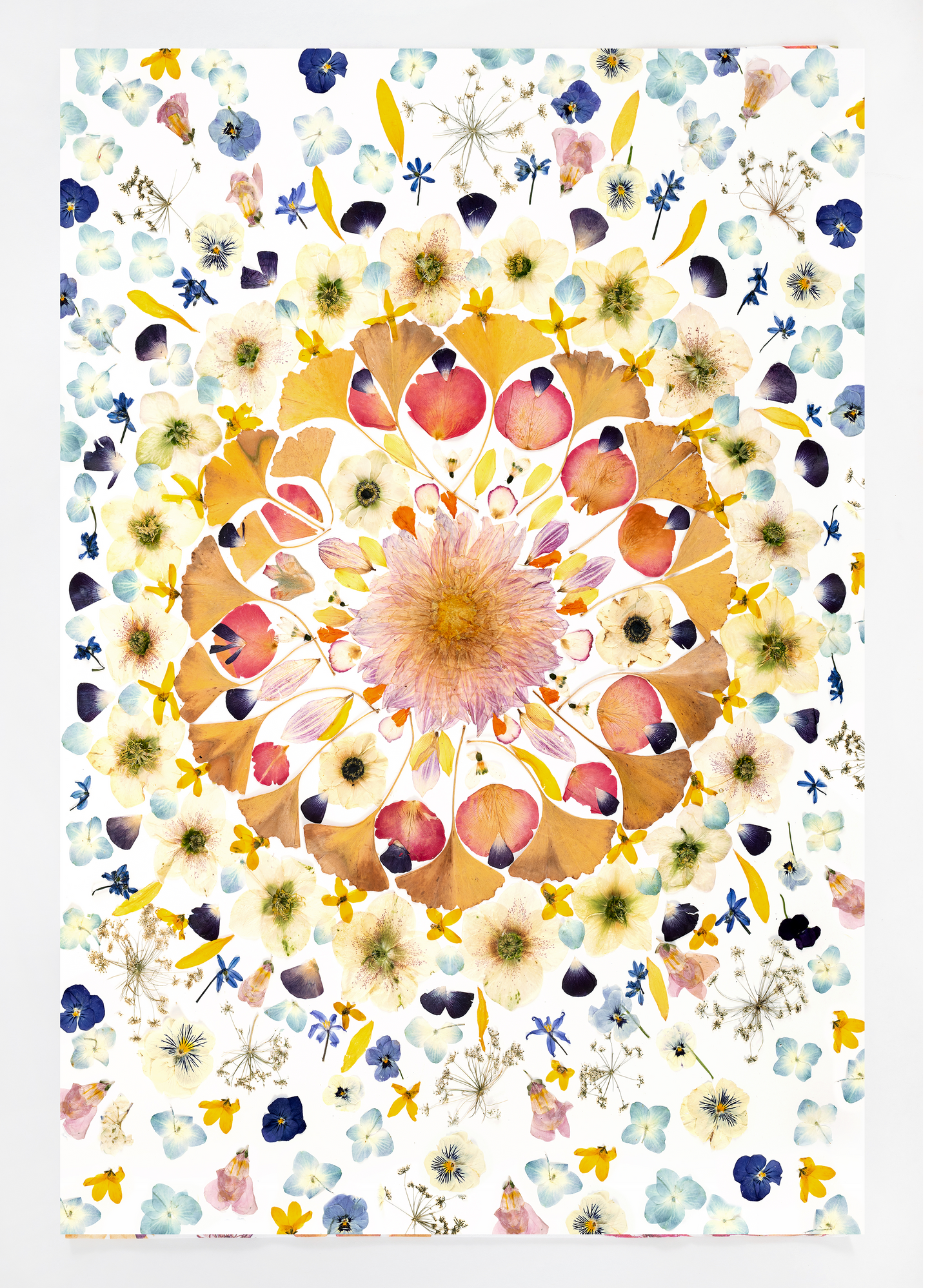 Botanical tea towel featuring a mandala created with pressed flowers from artists garden .