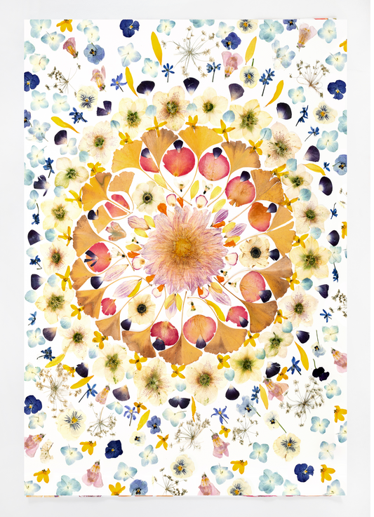 Botanical tea towel featuring a mandala created with pressed flowers from artists garden .
