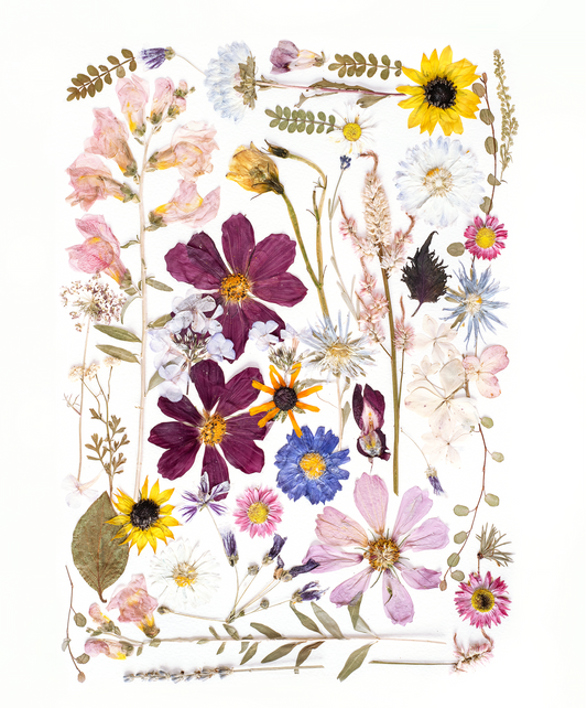 Pressed flower tea towel featuring botanical artwork created using flowers from the artists garden.