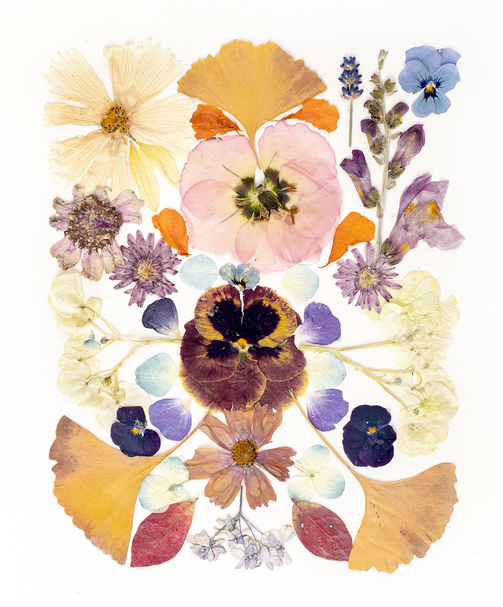 Trinity Fine Art Print – The Flower Experiment